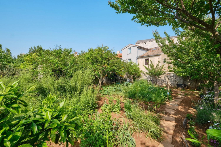 Others 3, Rooms with a parking space Veli Losinj, Losinj - 21045, Mali Lošinj