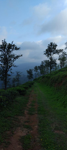 Others 3, Solitary Cottage Dunhinna, Medadumbara