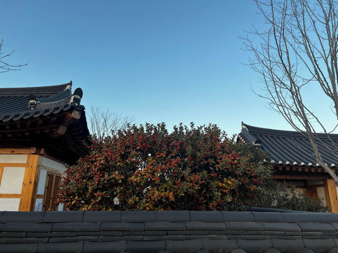 Exterior 2, Soyeonjae hanokstay, Gyeongju