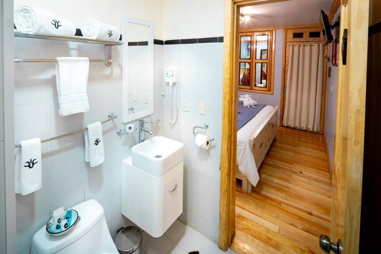Bathroom 4, Hotel Parque Espana, Mexico City