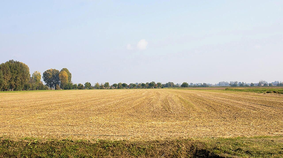 Others 3, Canovetta Country Houses, Cremona