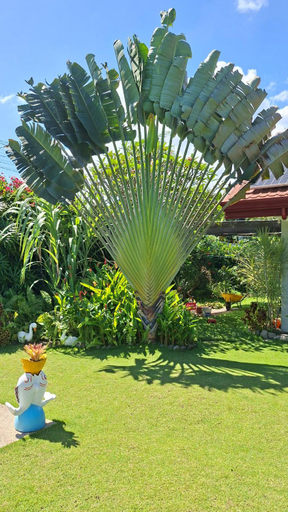 Others 5, Villa Shangri-La, Dumaguete City