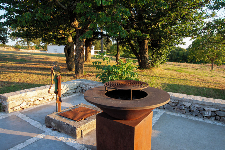 Property grounds 2, ECO RESORT TRE CERCOLE, Foggia