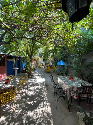 Food & Drinks 5, Museito de Carlos, Granada