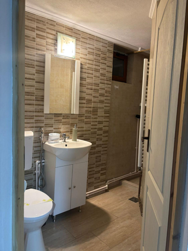 Bathroom, Casa Rariana, Calimanesti