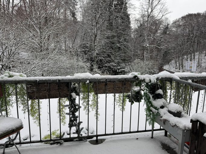 Property grounds, Waldhotel Bad Essen, Osnabrück