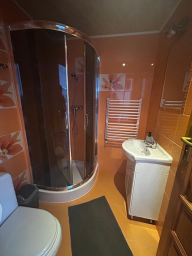 Bathroom 3, Na Gorce W Bialym Dunajcu, Tatra