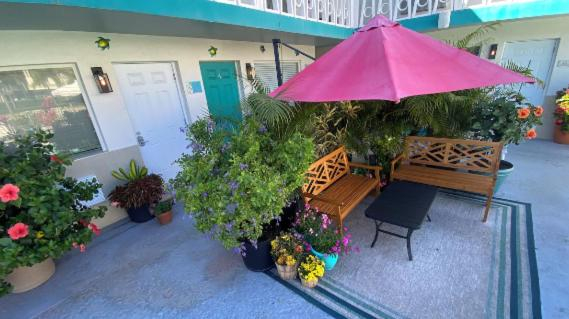 Others 4, Honu Cove, Broward