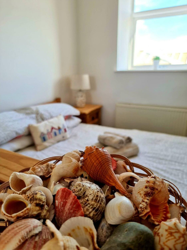 Food & Drinks 5, Wendon Holidays, Gwynedd