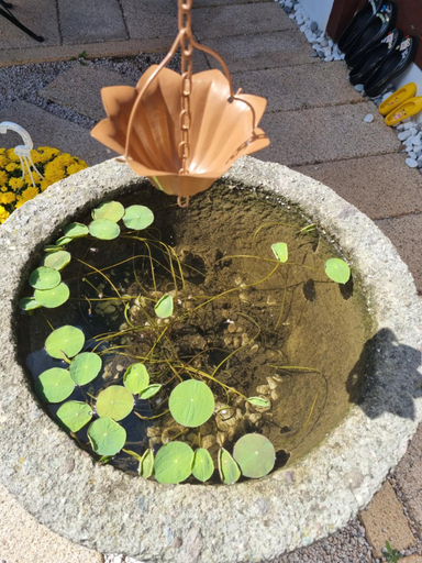 Others 5, EL House, Gyeongju
