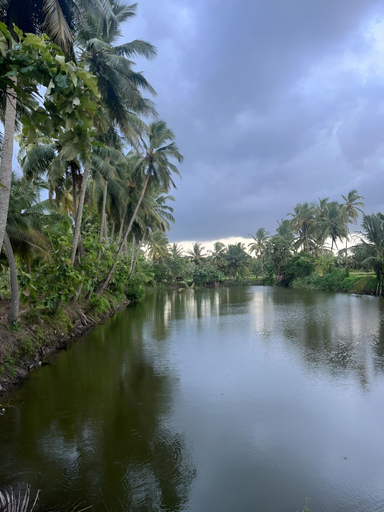 Miscellaneous 4, Essaar punnot Farmstay resort, Palakkad