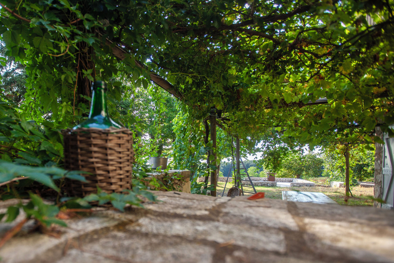 Property grounds 5, ECO RESORT TRE CERCOLE, Foggia