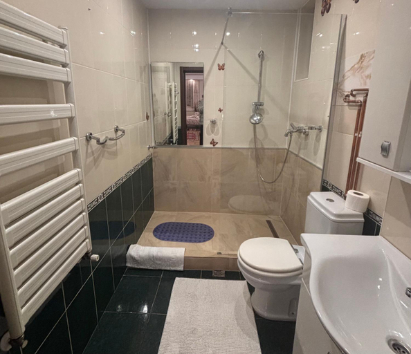Bathroom 2, Casa Edan Breaza, Breaza De Jos