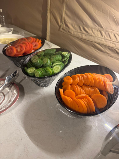 Food & Drinks 5, Desert Stars Camp, Biddiya