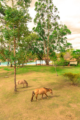 Others 4, Hotel Fazenda Bonjua, Montes Claros