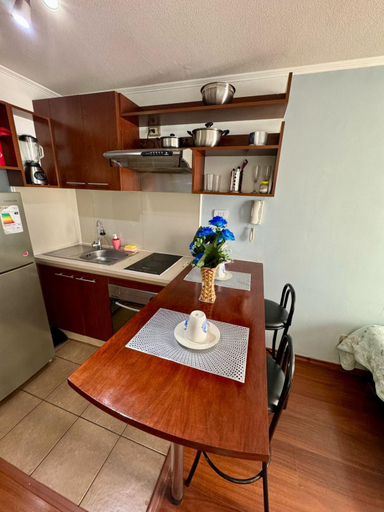 Others 3, Apartamentos Orquidea Suite, Santiago