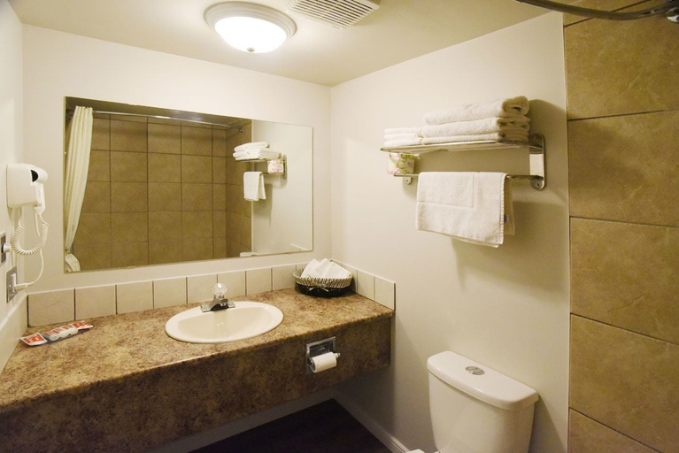 Bathroom 3, Econo Lodge Inn & Suites Drumheller, Division No. 5