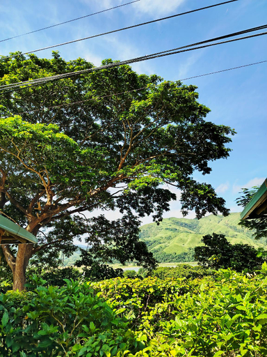 Others 4, Rea's Bamboo Resort, Gabaldon