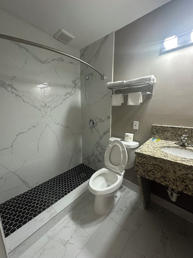 Bathroom 4, Econo Lodge St. Petersburg Central, Pinellas