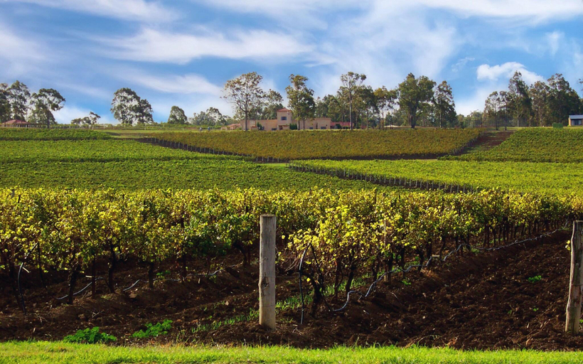 Public Area 2, Tuscany Wine Estate Resort, Singleton