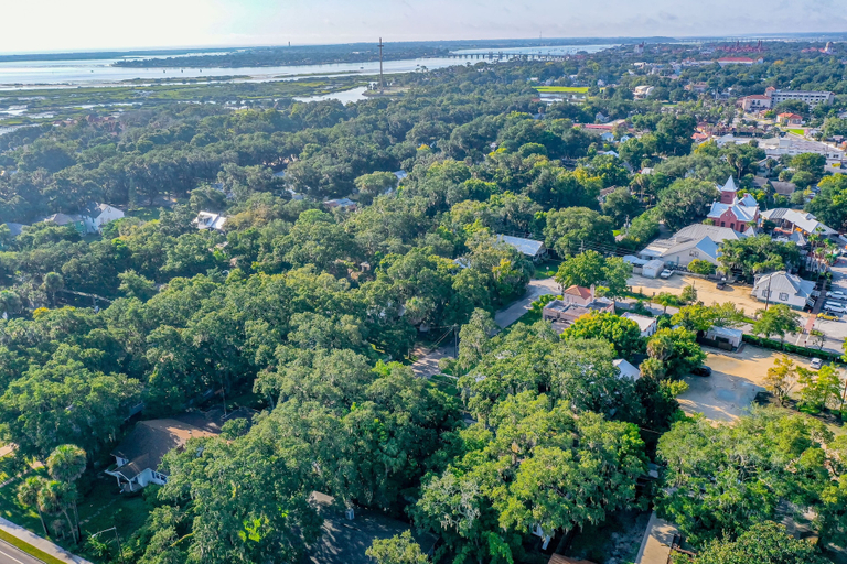 Aerial view 4, Extraordinary Old Florida Home With Designer Interior & Backyard Treehouse, Saint Johns