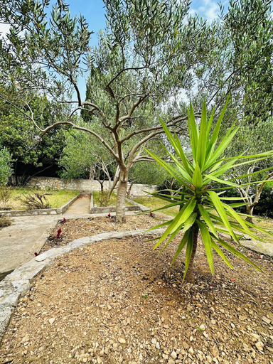 Property grounds 5, BEACH HOUSE BOL, Bol