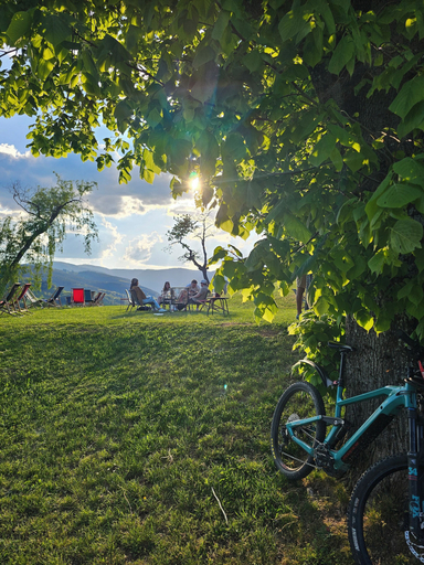 Bicycling, Domaine Le H, Haut-Rhin