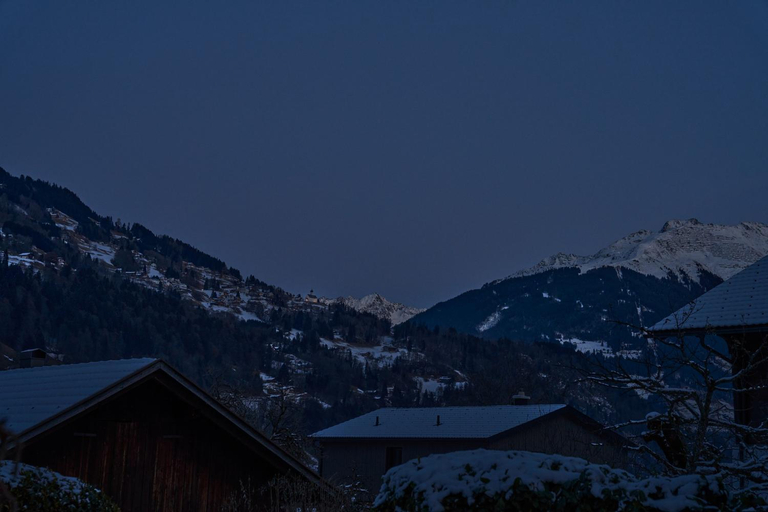 View 4, Chalet in Montafon with Private Sauna, Bludenz