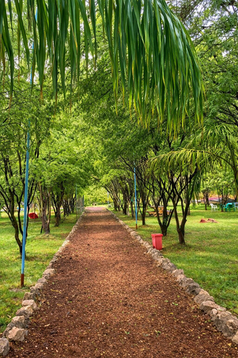 Property grounds 2, Ngedere Lodge and camp, Monduli