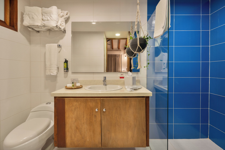 Bathroom 4, Casa Bixa Hotel Boutique -Santa Fe de Antioquia- Mayores de 12 años, Santa Fe de Antioquia