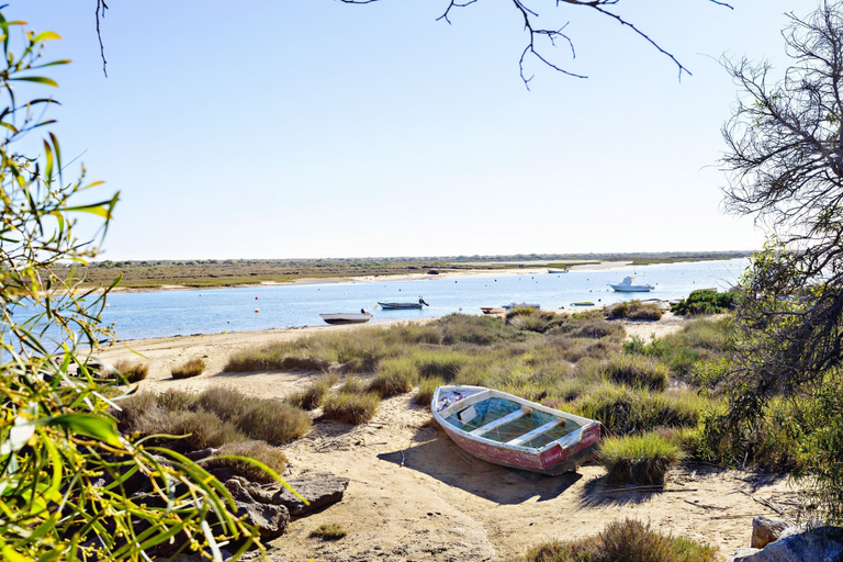 Room 4, My Ocean View in Tavira, Alcoutim
