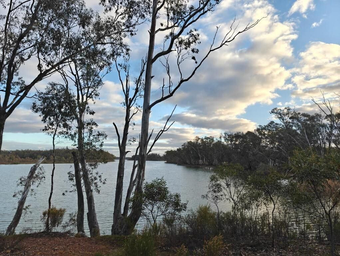 View from property, Tiny Away Stay – Laanecoorie Lakeside, Loddon - South