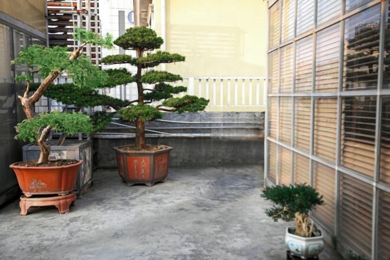 Others 3, Royal Holiday Hotel Shenzhen, Shenzhen