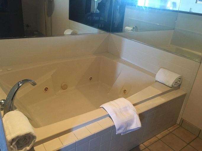 Bathroom, Howard Johnson Inn Nicholasville/Lexington, Jessamine