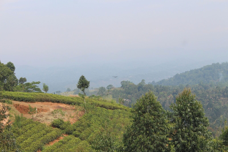 Miscellaneous 2, Star Bish Mount View, Doluwa