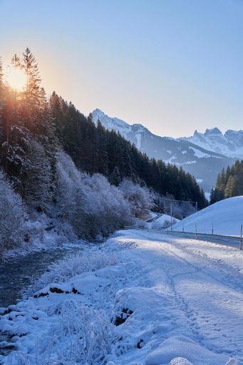 Facilities 5, Chalet in Montafon with Private Sauna, Bludenz
