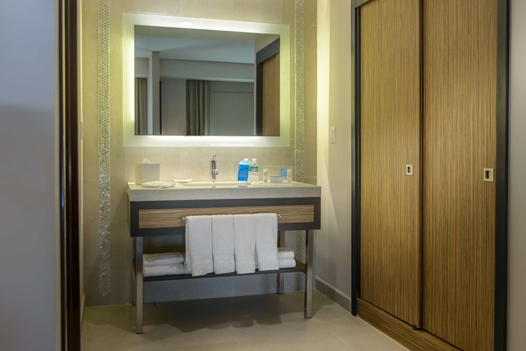 Bathroom 4, Hampton Inn by Hilton Zacatecas, Zacatecas