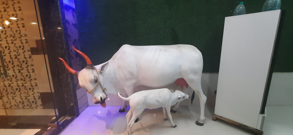 Miscellaneous, Hotel Radhakrishna, Raigarh