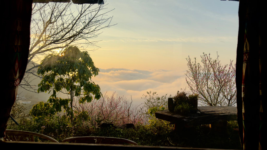 Others 5, 1941M Homestay Tà Xùa , Bắc Yên