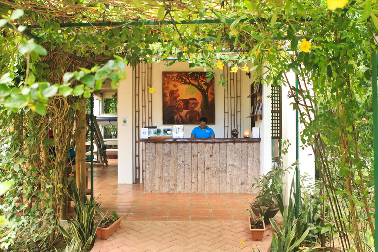 Public Area, Fox & The Firefly Cottages, Loboc