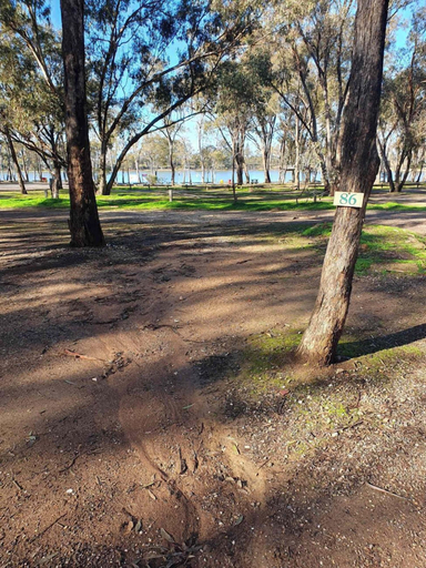 Room 4, Tiny Away Stay – Laanecoorie Lakeside, Loddon - South