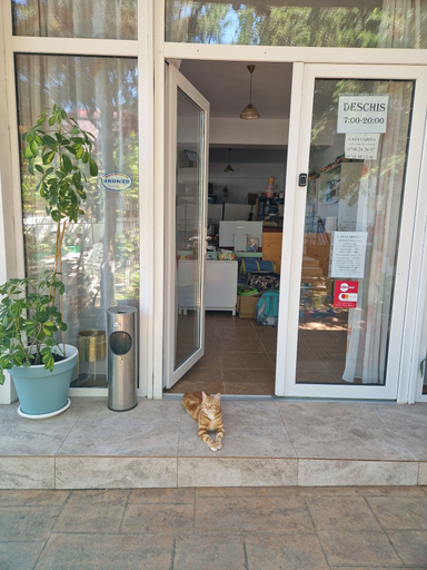 Exterior & Views 2, Casa Carina, Mangalia