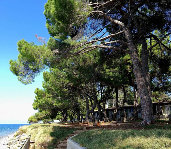 Property grounds 3, Family Bungalow Pineta, Novigrad