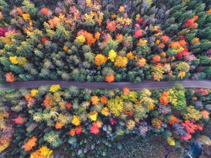 Aerial view, Cozy Cottage with Fire Pit, Fairfield