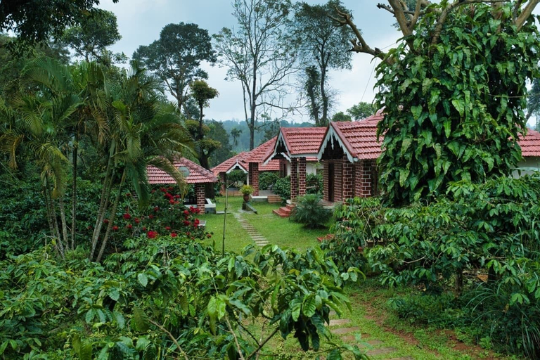 Property grounds, Coffee County Homestay, Kodagu