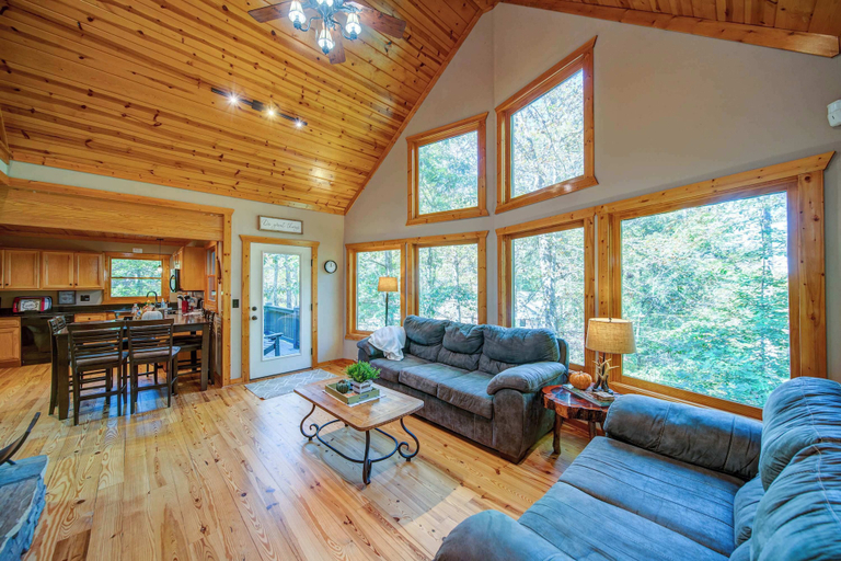 Living area 4, Buck Valley Lodge Home for 12, Gilmer