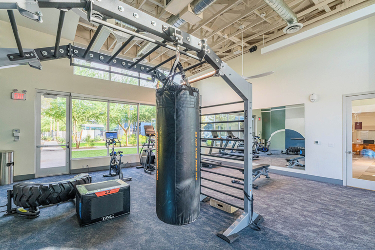 Fitness facility 5, Lotus 3409, Maricopa