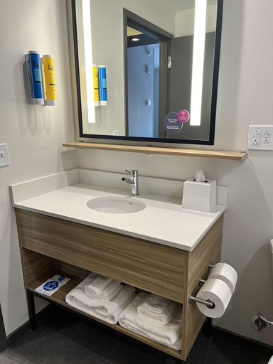 Bathroom, Tru By Hilton St. Louis Downtown, Saint Louis