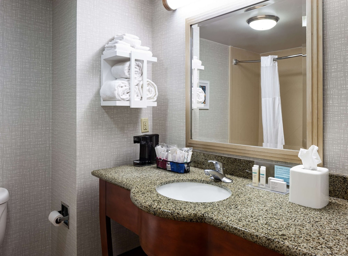Bathroom 4, Hampton Inn & Suites Mobile I-65 @ Airport Blvd., Mobile
