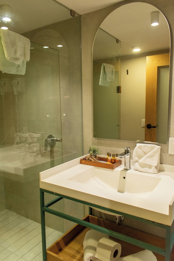 Bathroom 2, Oliva Plaza Hotel, Guadalajara